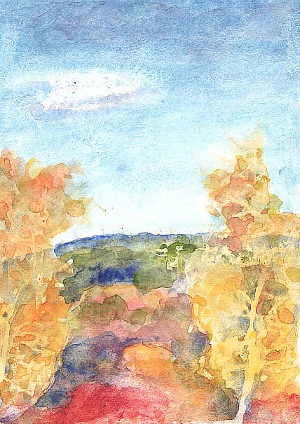 View between the trees